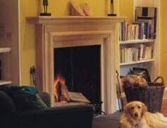 The Roxburgh Fireplace Surround